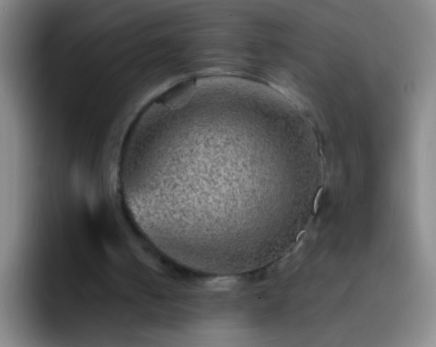 X0000092290050200709211220