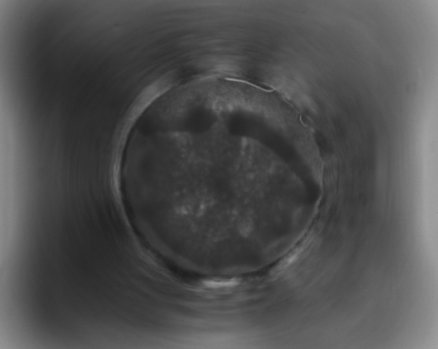 X0000092290051200709211220