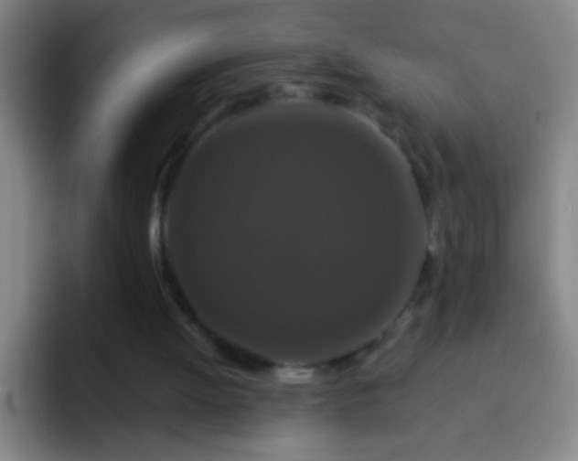 X0000092290052200709211220