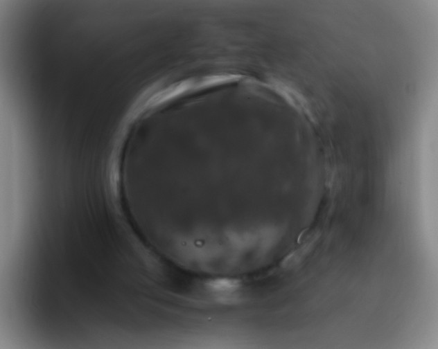 X0000092290053200709211220