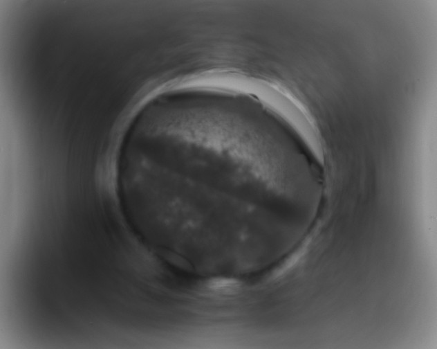 X0000092290055200709211220