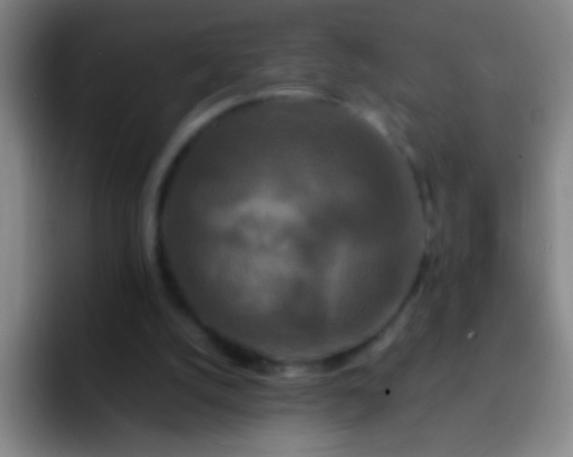 X0000092290056200709211220