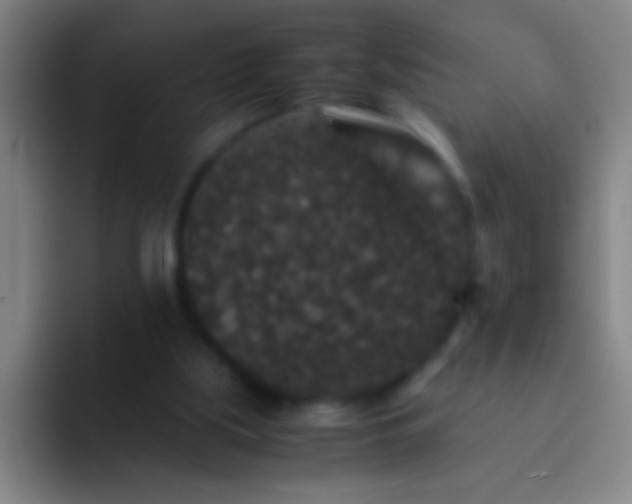 X0000092290059200709211220