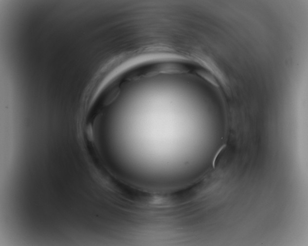 X0000092290060200709211220