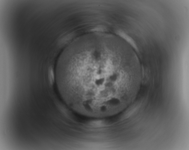 X0000092290061200709211220