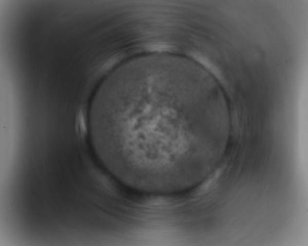 X0000092290062200709211220