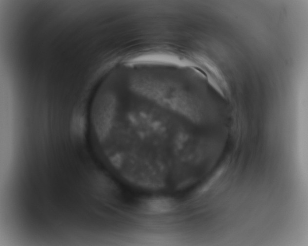 X0000092290063200709211220