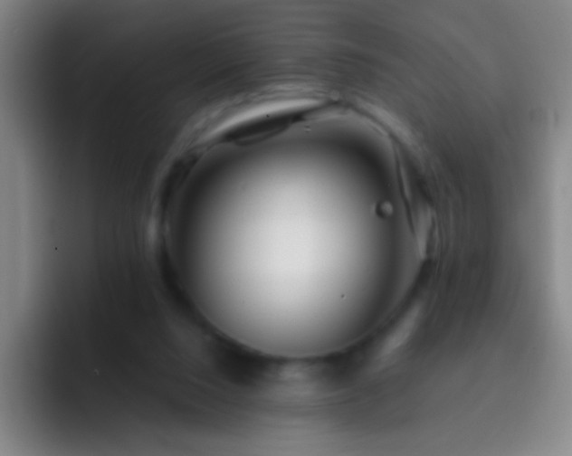 X0000092290064200709211221