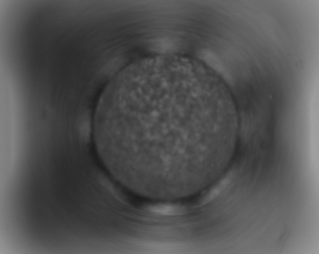 X0000092290065200709211221