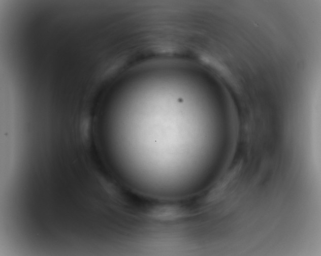 X0000092290066200709211221