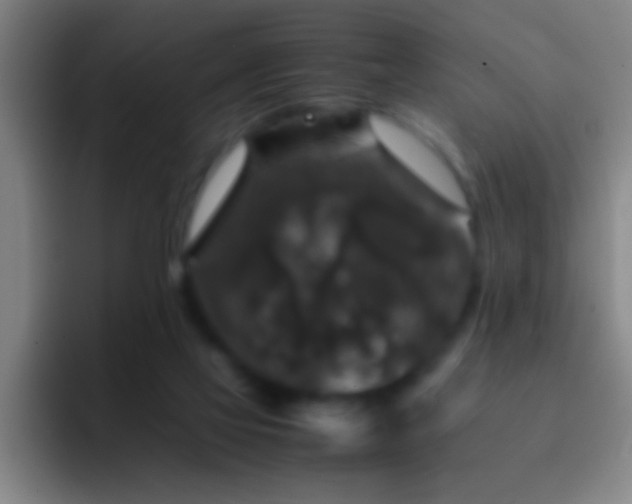 X0000092290069200709211221