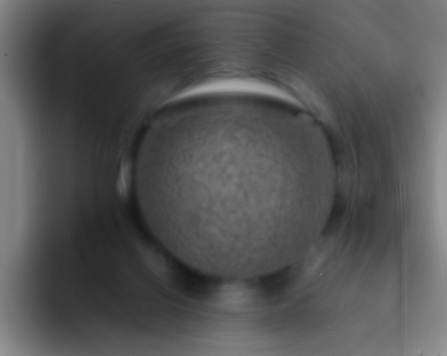 X0000092290070200709211221