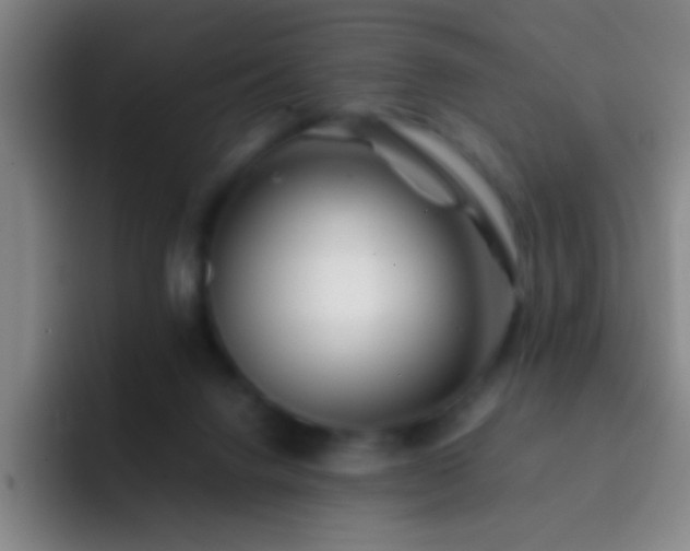 X0000092290072200709211221