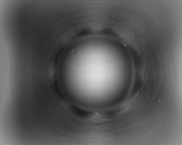 X0000092290082200709211221