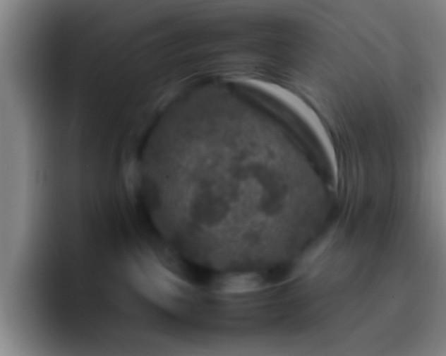 X0000092290093200709211221