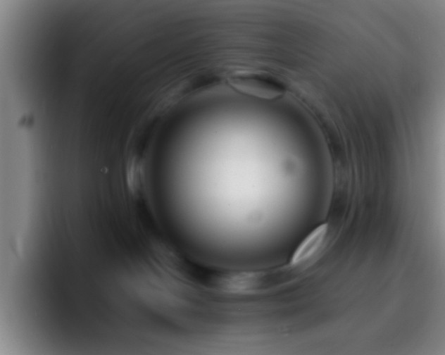 X0000092290094200709211221