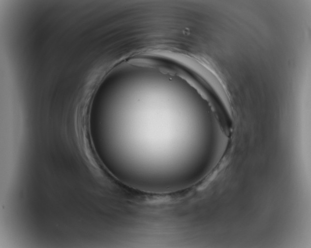 X0000092290097200709211220