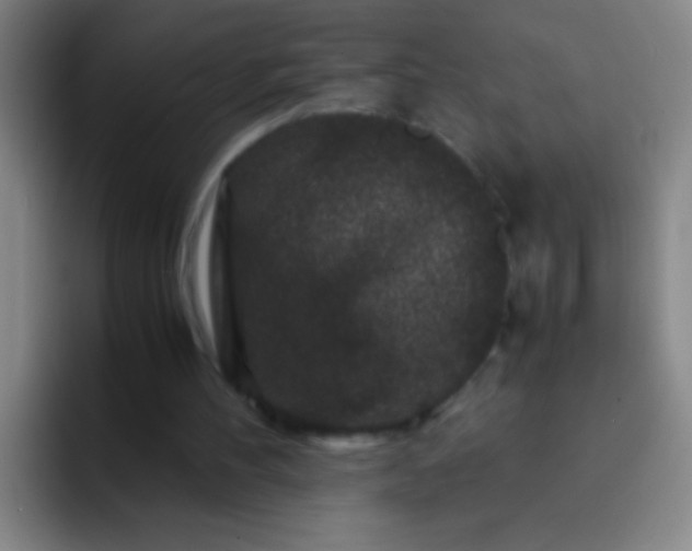 X0000092290100200709211220