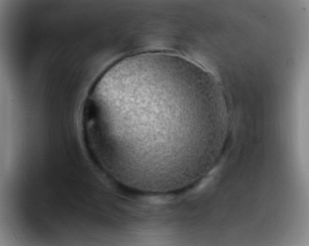 X0000092290103200709211220