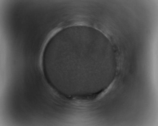 X0000092290104200709211220