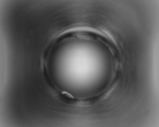 X0000092290109200709211220