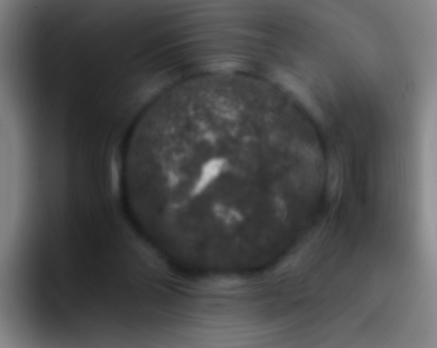 X0000092290110200709211220