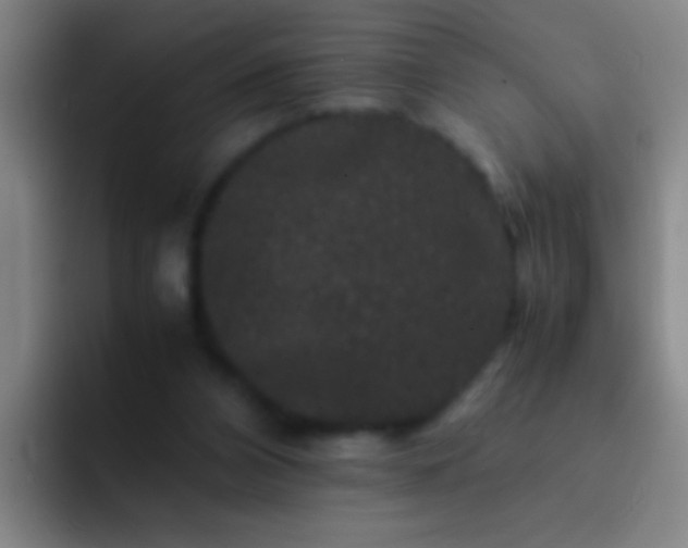 X0000092290112200709211220