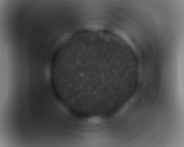 X0000092290114200709211220