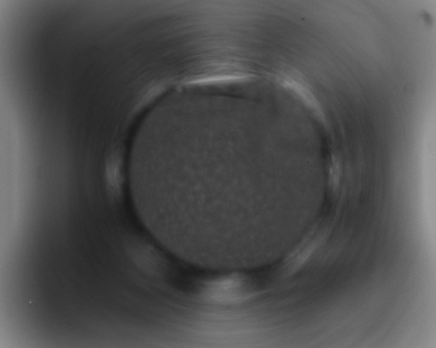 X0000092290116200709211220