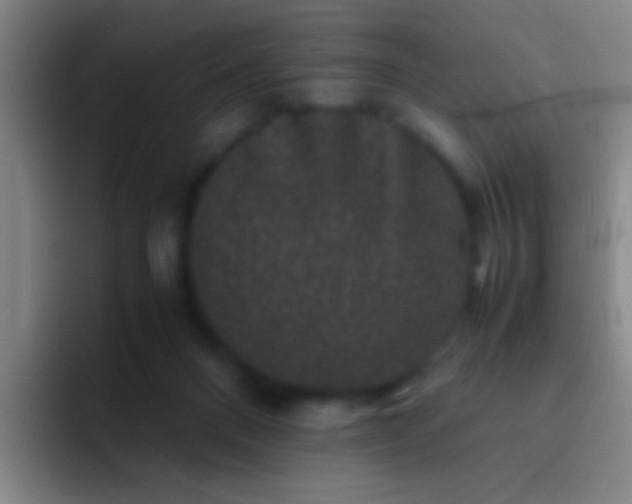 X0000092290120200709211220