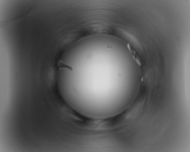 X0000092290121200709211220