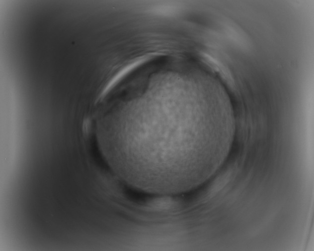 X0000092290123200709211220