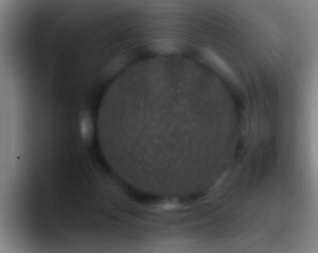 X0000092290124200709211220