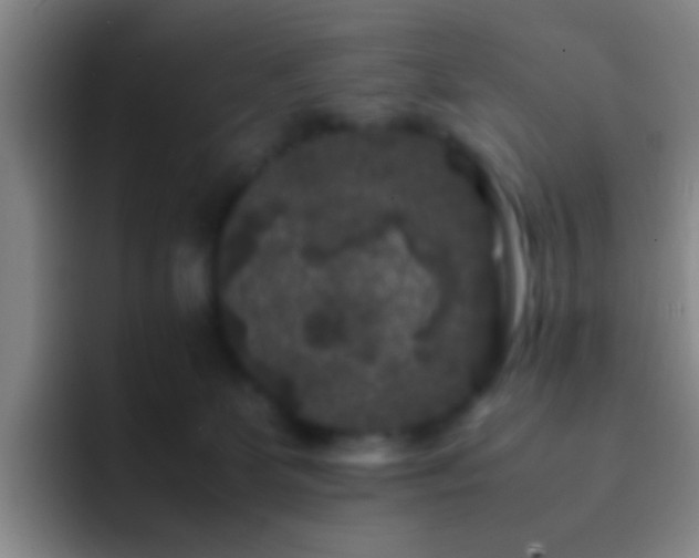 X0000092290131200709211220