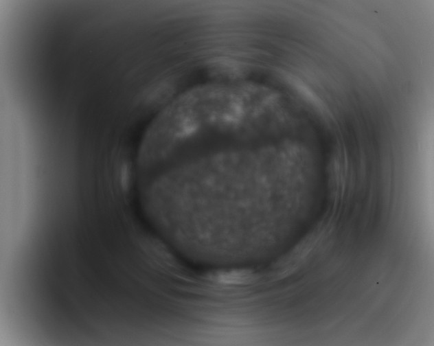 X0000092290134200709211220