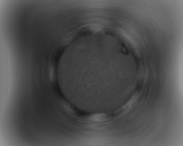 X0000092290136200709211220