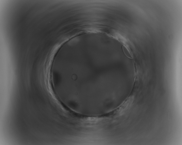 X0000092290145200709211219