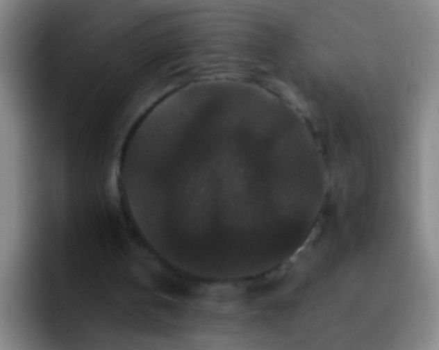 X0000092290146200709211219