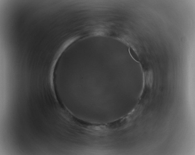 X0000092290147200709211219