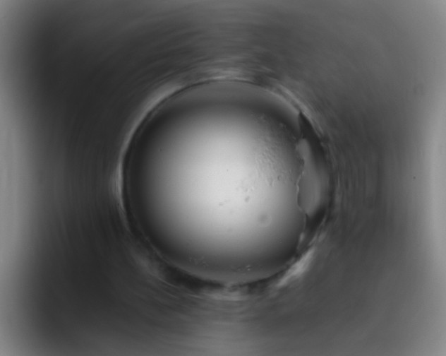 X0000092290148200709211219