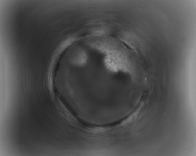 X0000092290149200709211219