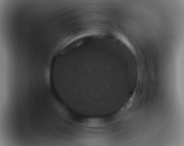 X0000092290154200709211219