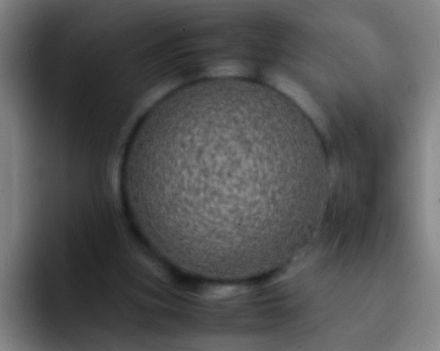 X0000092290155200709211219