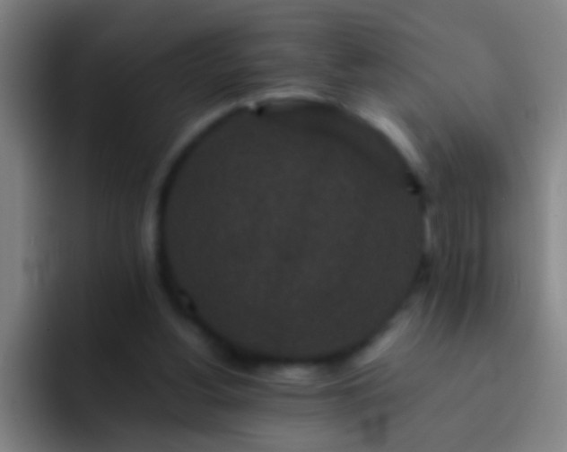 X0000092290156200709211219