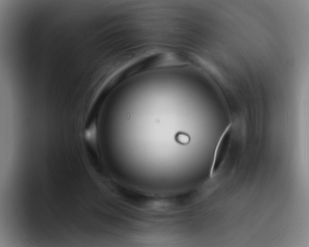 X0000092290158200709211219