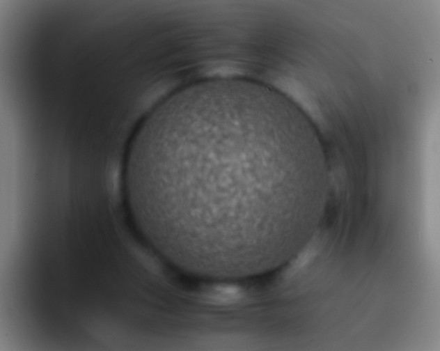 X0000092290159200709211219