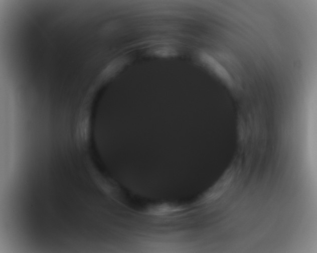 X0000092290163200709211219