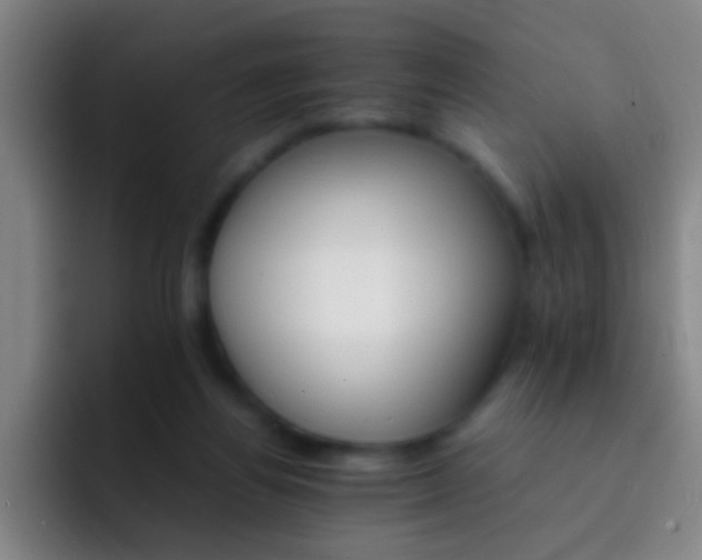 X0000092290164200709211219