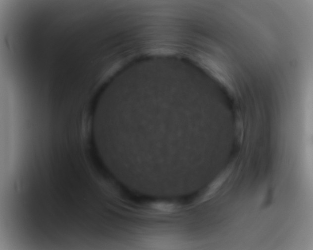 X0000092290168200709211219