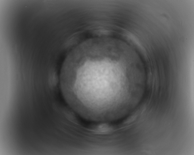 X0000092290173200709211220